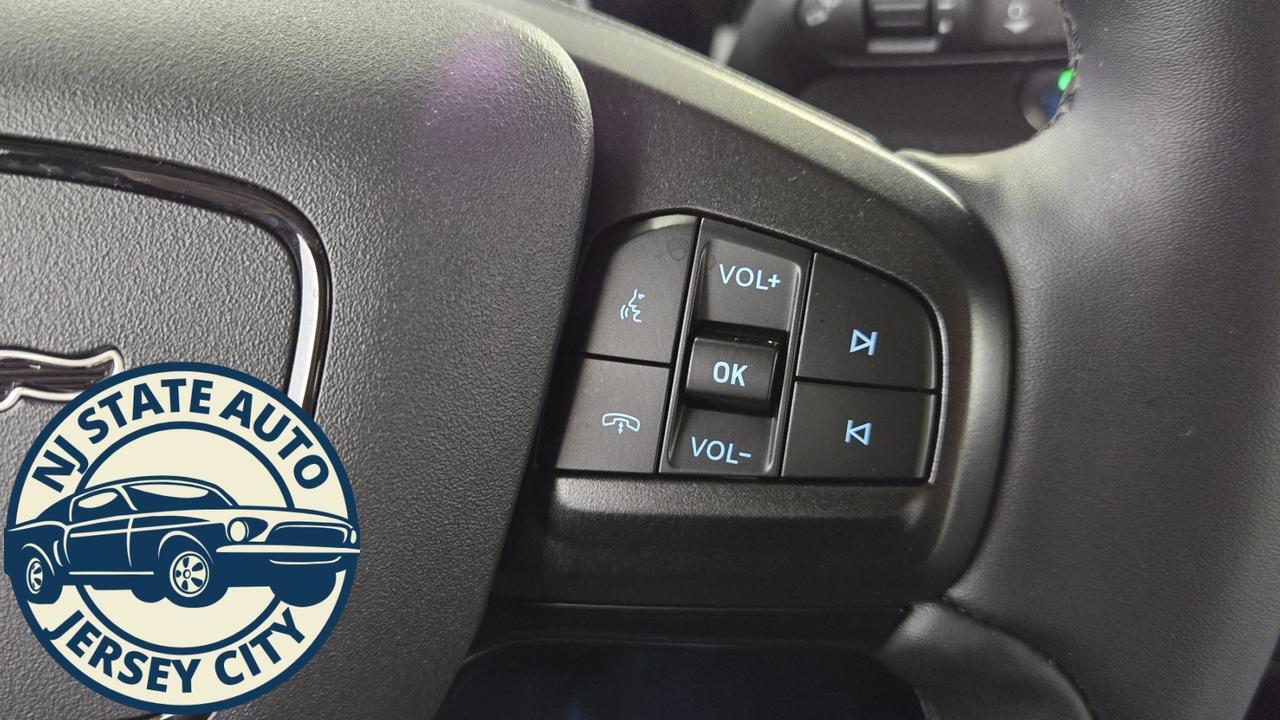 2021 Ford Mustang Mach-E Premium Jersey City NJ