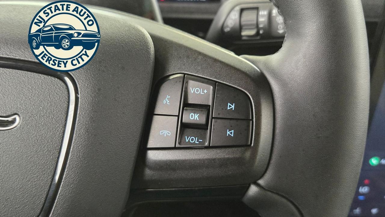 2021 Ford Mustang Mach-E Premium Jersey City NJ