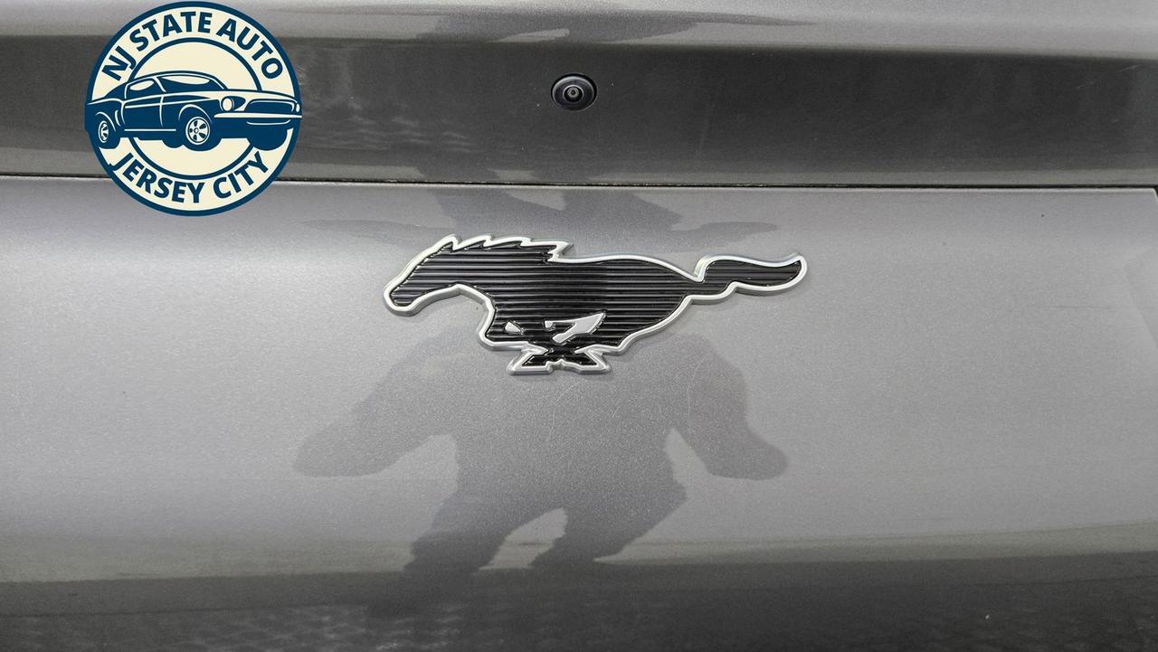 2021 Ford Mustang Mach-E Premium Jersey City NJ