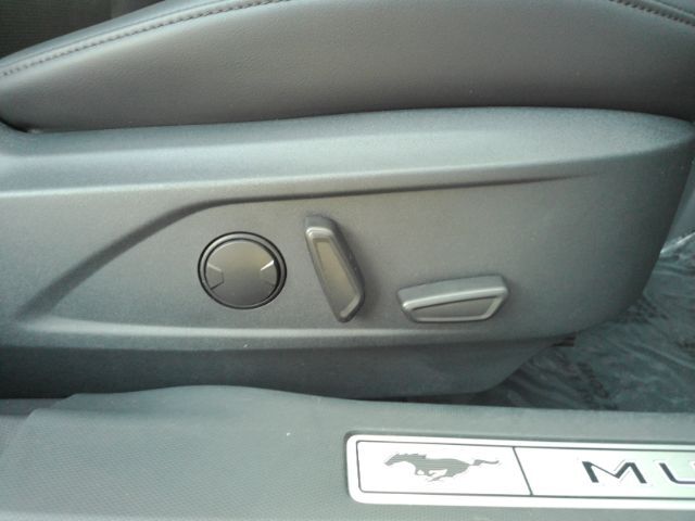 2021 Ford Mustang Mach-E Premium Plano TX