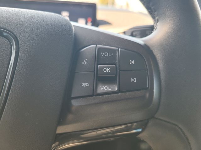 2021 Ford Mustang Mach-E Premium Roseville CA