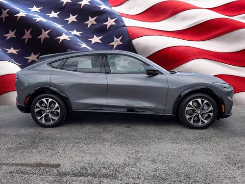 2021 Ford Mustang Mach-E Premium Tampa FL 2021 Ford Mustang Mach-E Premium Tampa FL