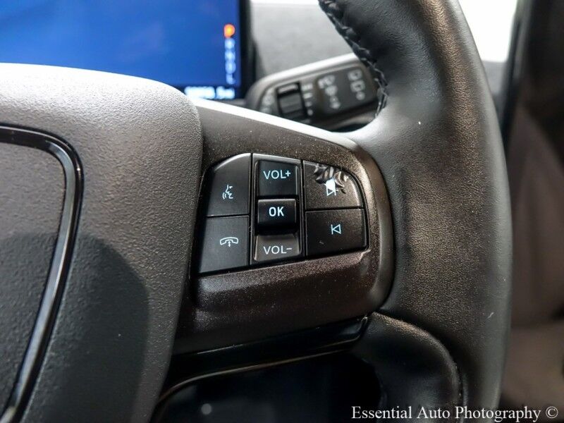 2021 Ford Mustang Mach-E Premium Willowbrook IL