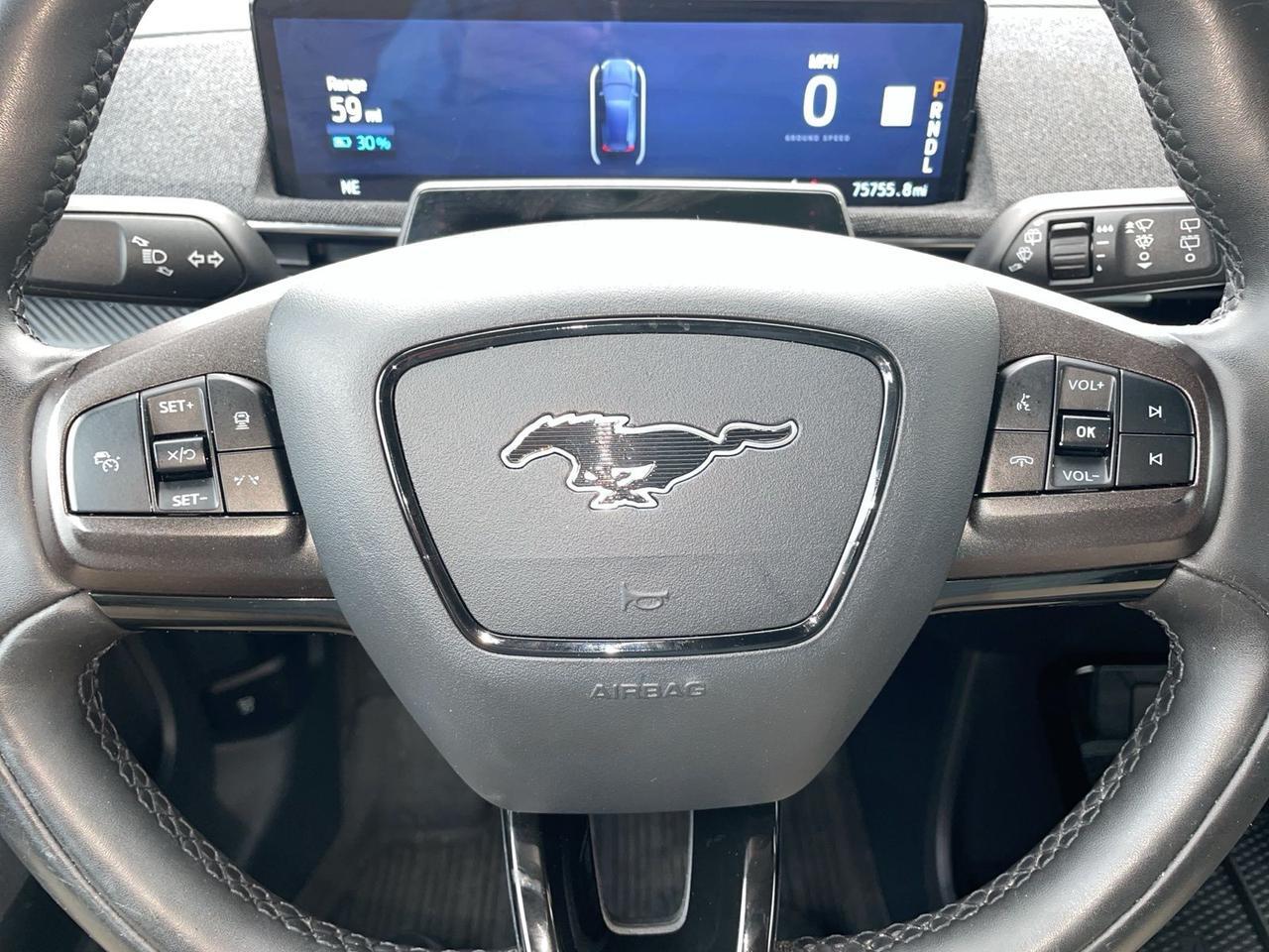 2021 Ford Mustang Mach-E Premium Springfield VA