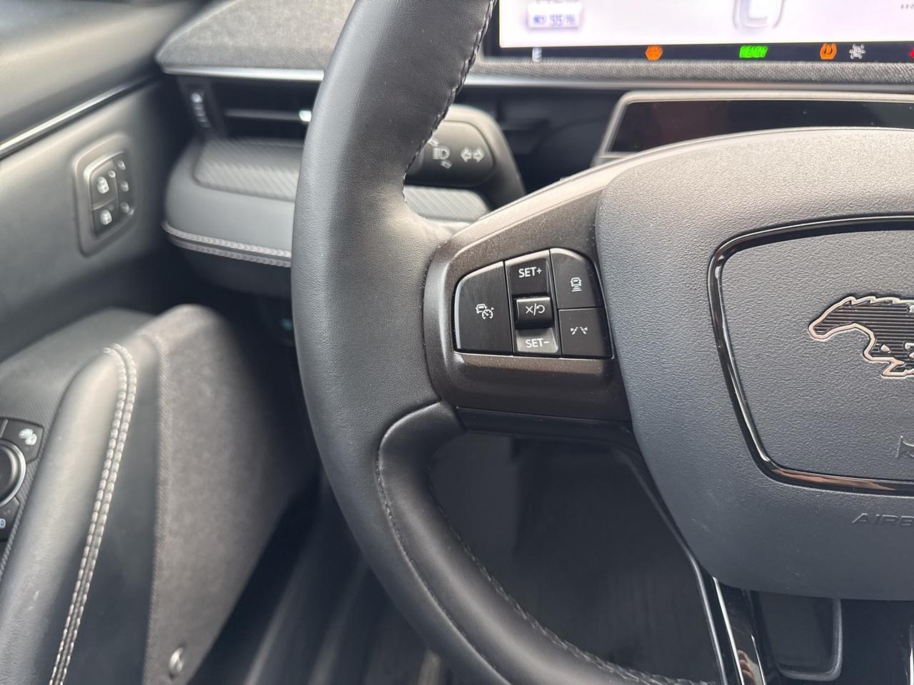2021 Ford Mustang Mach-E Premium Warrenton VA