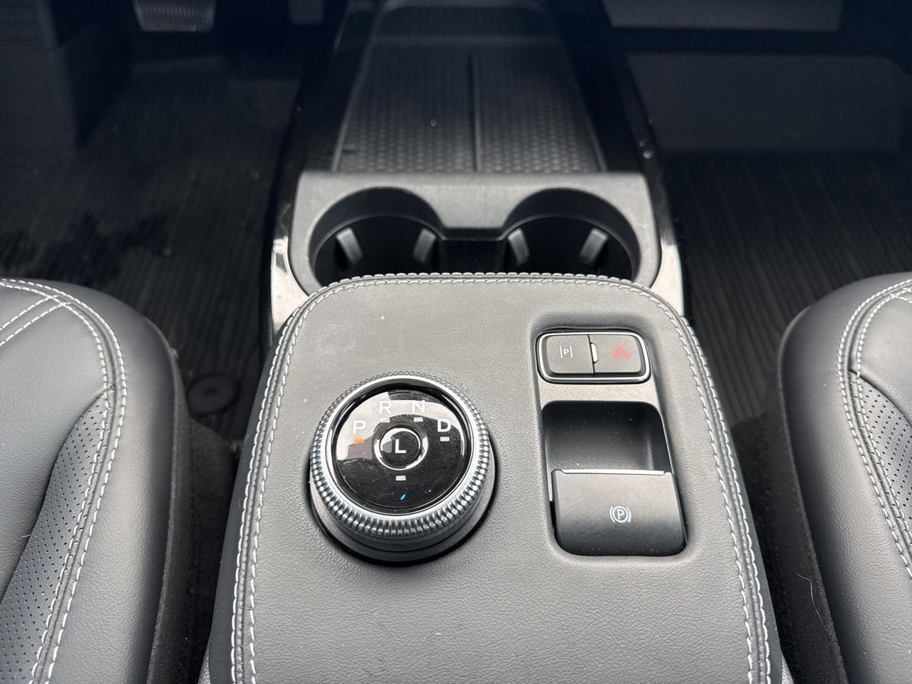 2021 Ford Mustang Mach-E Premium Warrenton VA