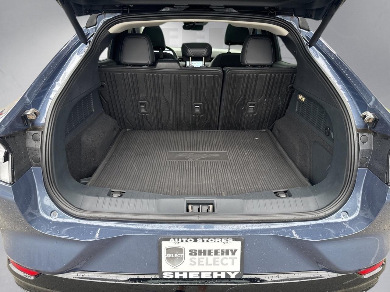 2021 Ford Mustang Mach-E Premium Warrenton VA