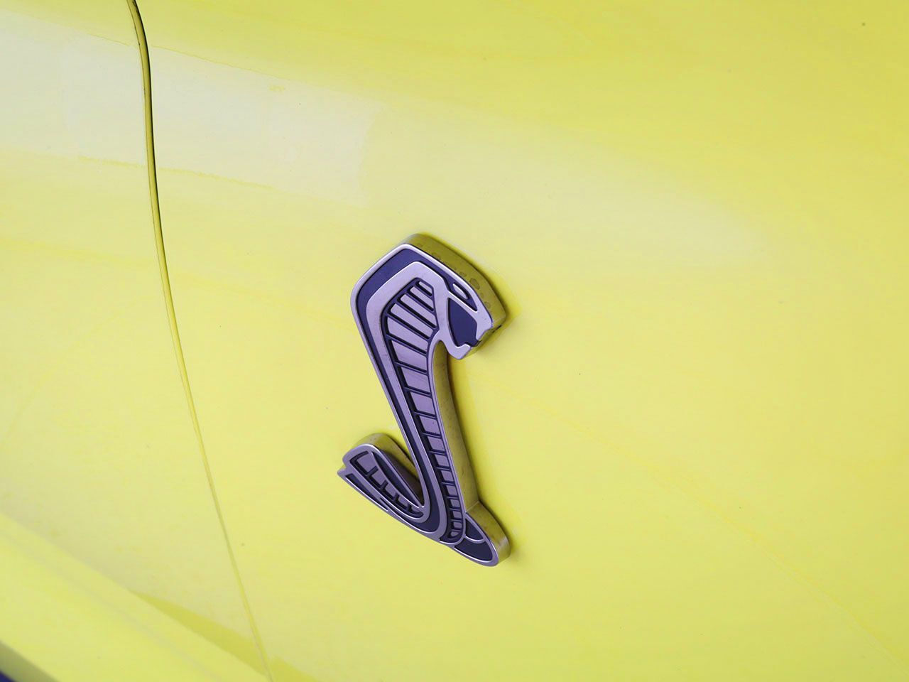 2021 Ford Mustang Shelby GT500 Indianapolis IN