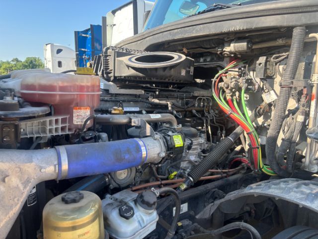 2021 Freightliner New Cascadia 126 . Seville OH