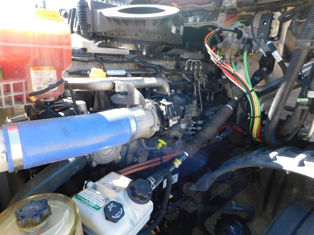 2021 Freightliner New Cascadia 126 . Seville OH