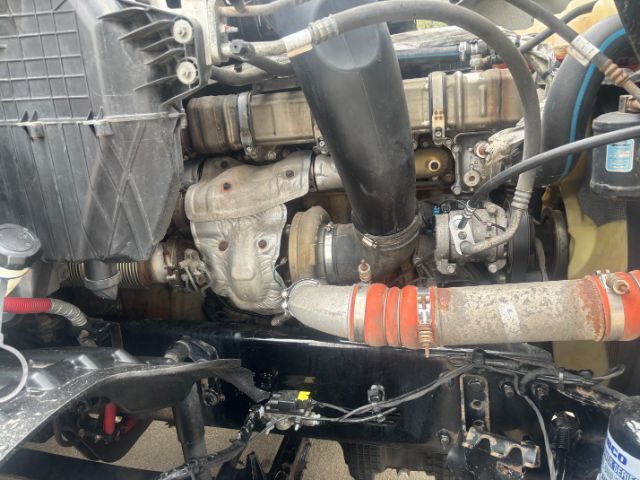 2021 Freightliner New Cascadia 126 . Seville OH