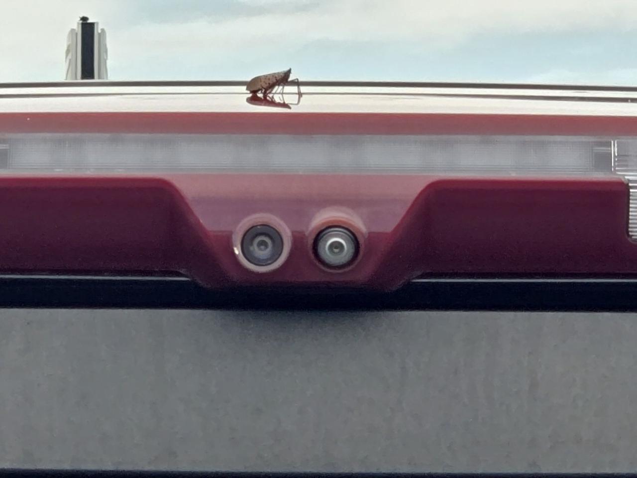 2021 GMC Sierra 1500 Denali Fredericksburg VA