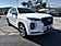 2021 Hyundai Palisade Calligraphy  TX