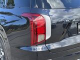 2021 Hyundai Palisade Calligraphy Oshkosh WI