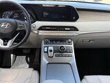 2021 Hyundai Palisade Calligraphy Oshkosh WI