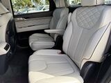 2021 Hyundai Palisade Calligraphy Oshkosh WI