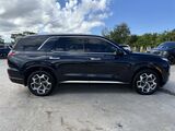 2021 Hyundai Palisade Calligraphy Oshkosh WI