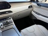 2021 Hyundai Palisade Calligraphy Oshkosh WI