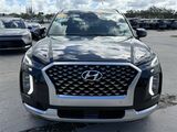 2021 Hyundai Palisade Calligraphy Oshkosh WI