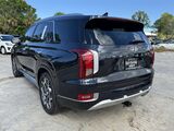 2021 Hyundai Palisade Calligraphy Oshkosh WI