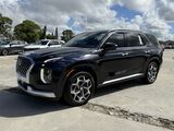 2021 Hyundai Palisade Calligraphy Oshkosh WI