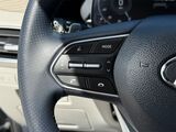 2021 Hyundai Palisade Calligraphy Oshkosh WI