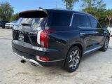 2021 Hyundai Palisade Calligraphy Oshkosh WI