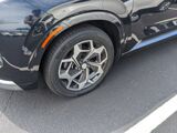 2021 Hyundai Palisade Calligraphy Oshkosh WI