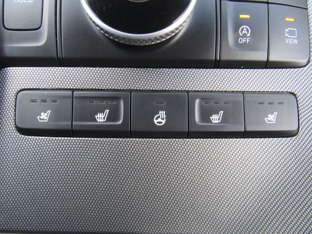 2021 Hyundai Palisade Calligraphy photo 13