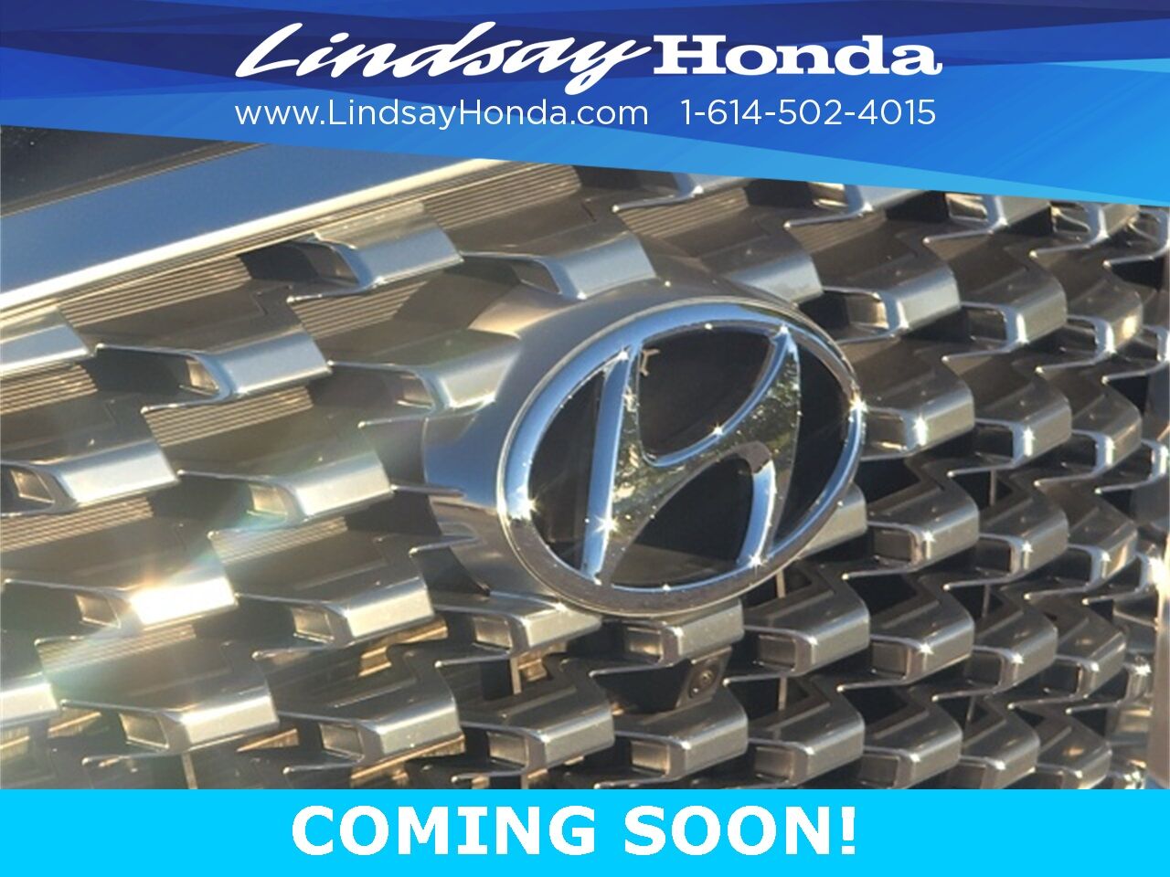 2021 Hyundai Palisade Limited Columbus OH