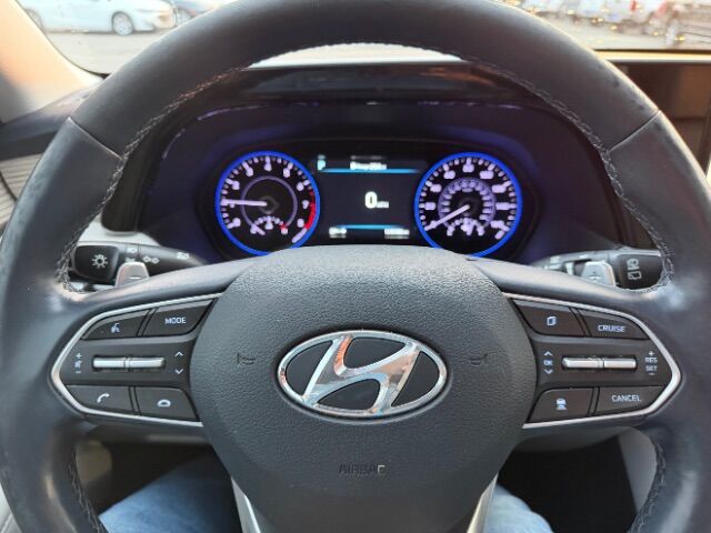 2021 Hyundai Palisade SEL Gaston SC