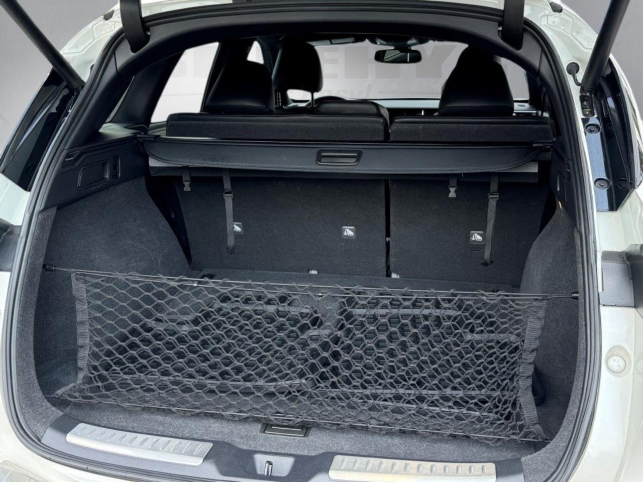 2021 INFINITI QX50 LUXE Chantilly VA