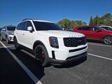 2021 Kia Telluride EX Oshkosh WI