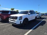 2021 Kia Telluride EX Oshkosh WI