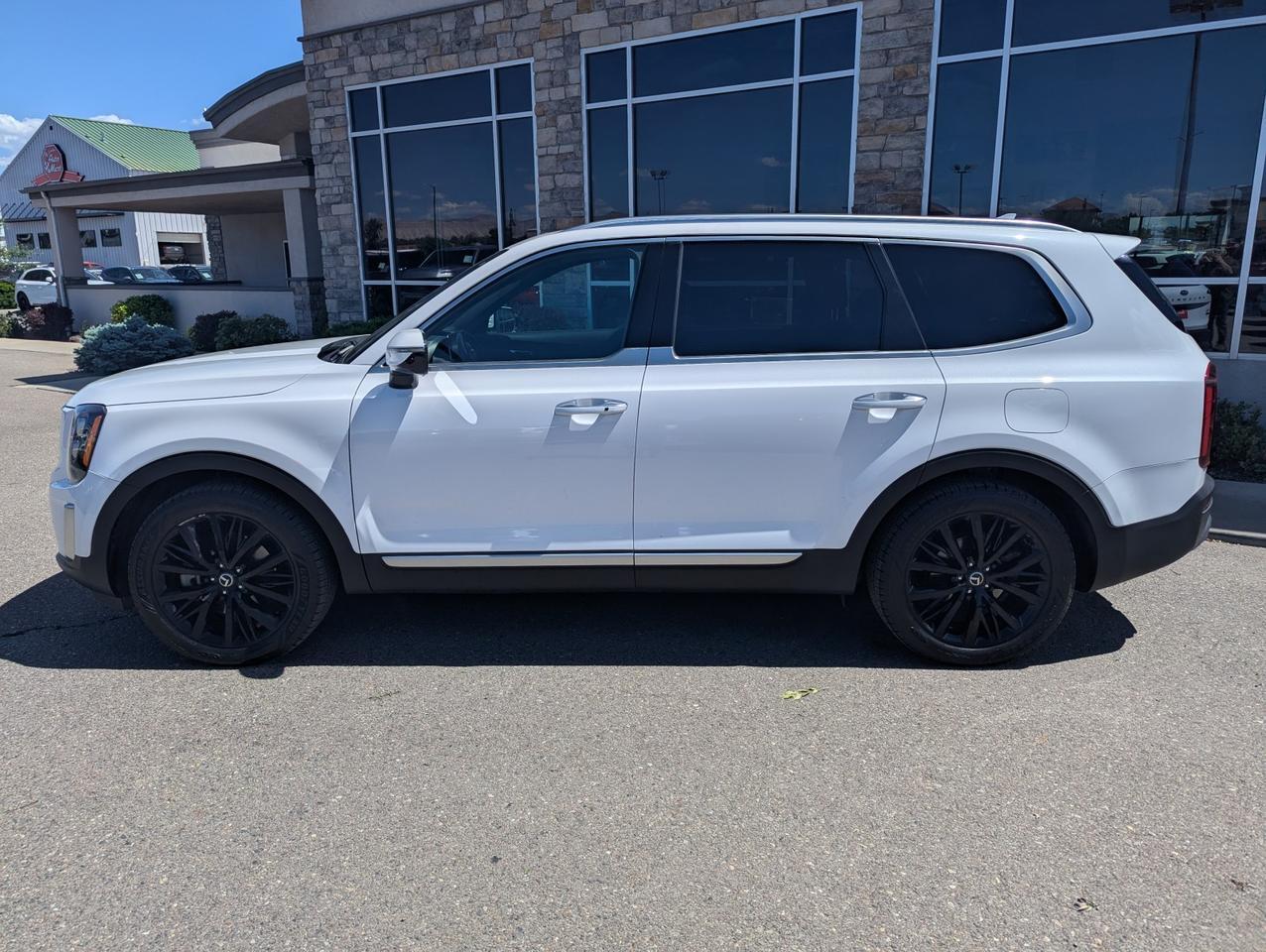 2021 Kia Telluride SX Grand Junction CO