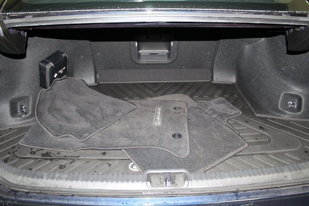 2021 Lexus ES 250 Richmond VA