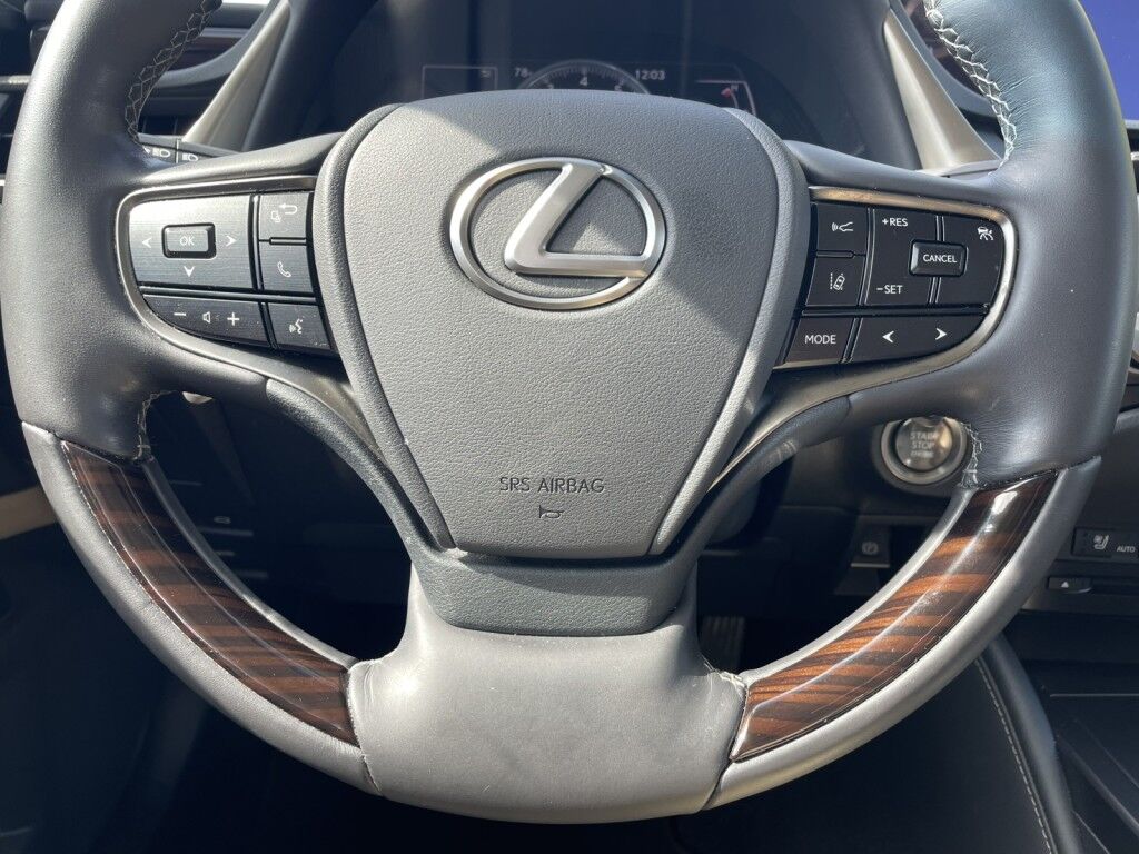 2021 Lexus ES 350~NAVIGATION~ADAPTIVE CRUISE CONTROL~REMAINDER OF FACTORY WARRANTY~ONLINE FINANCE AND SHIPPING AVAILABLE!!! Sarasota FL
