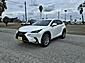 2021 Lexus NX 300 Base McAllen TX 2021 Lexus NX 300 Base McAllen TX