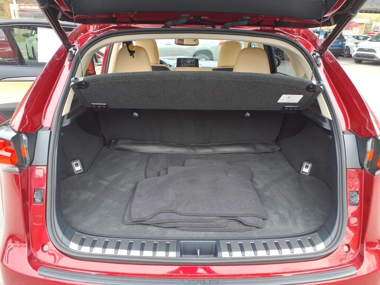 2021 Lexus NX 300 Base Roanoke VA