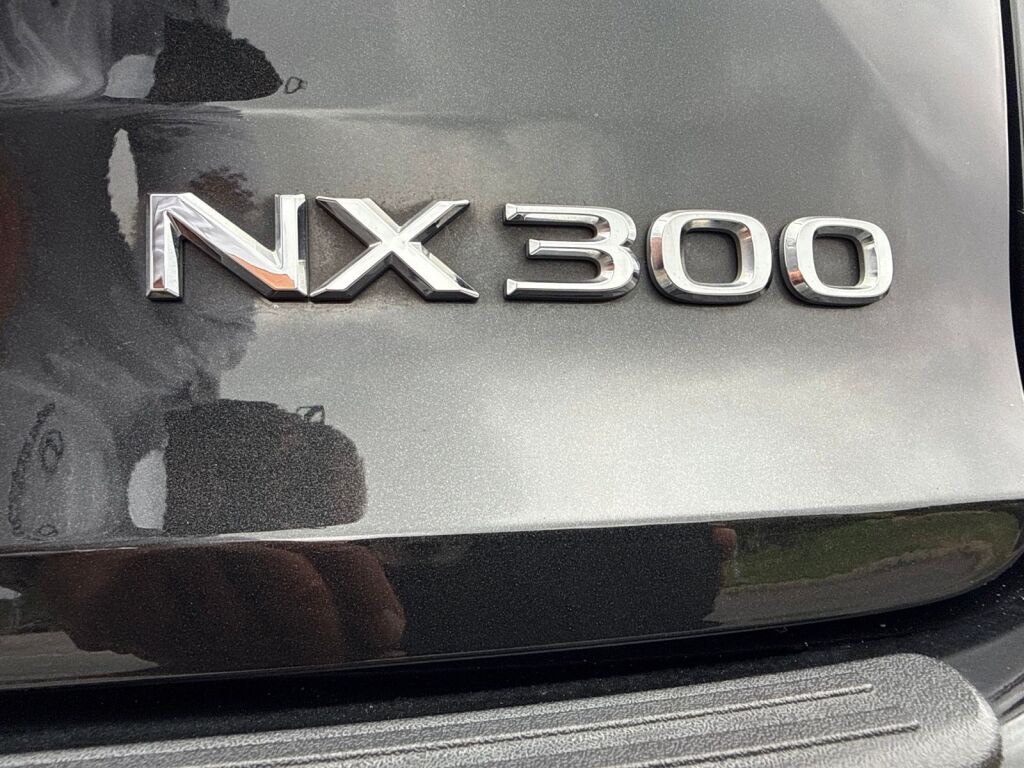 2021 Lexus NX 300 Base Richmond VA