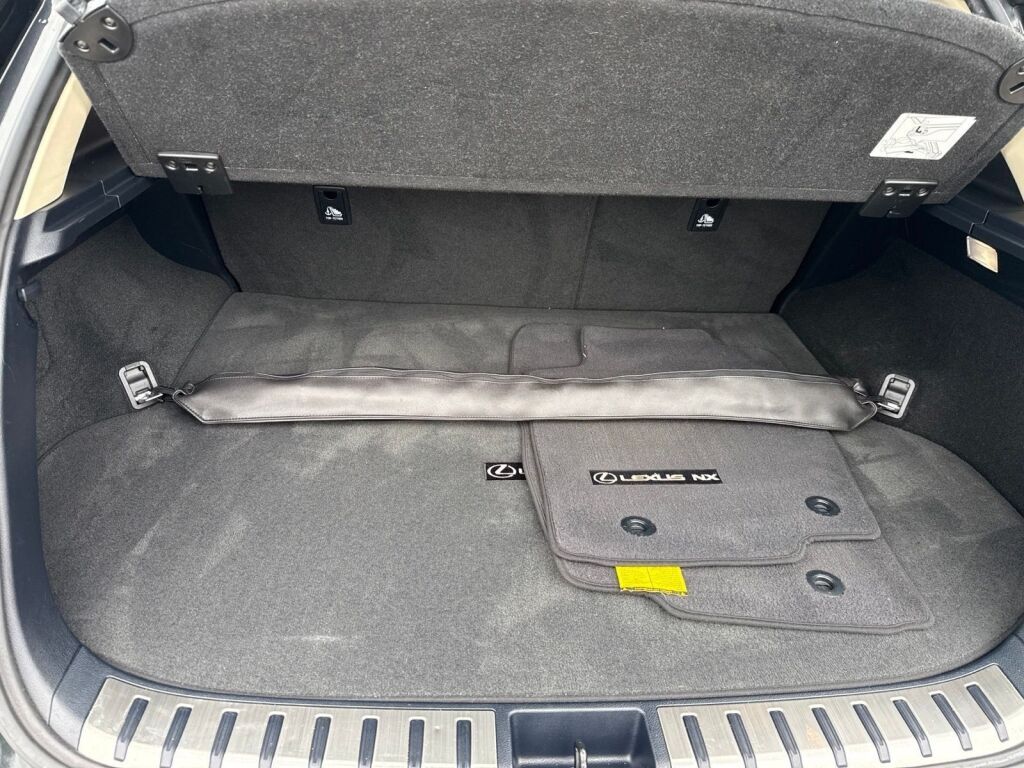 2021 Lexus NX 300 Base Richmond VA
