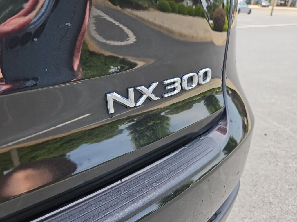 2021 Lexus NX 300 Base Richmond VA