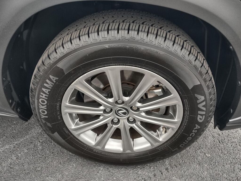 2021 Lexus NX 300 Base Richmond VA