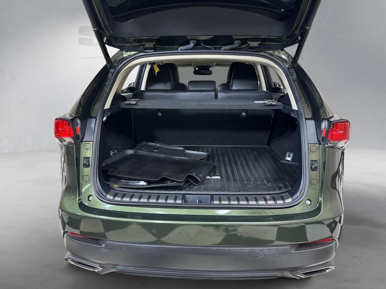 2021 Lexus NX 300 Base Annapolis MD