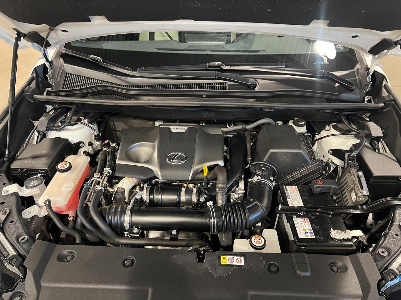 2021 Lexus NX 300 F SPORT Parker CO