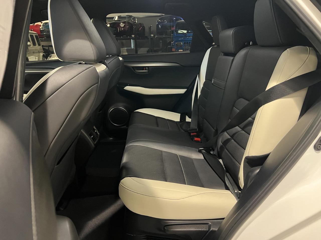 2021 Lexus NX 300 F SPORT Parker CO