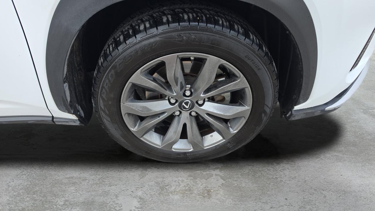 2021 Lexus NX 300 F SPORT