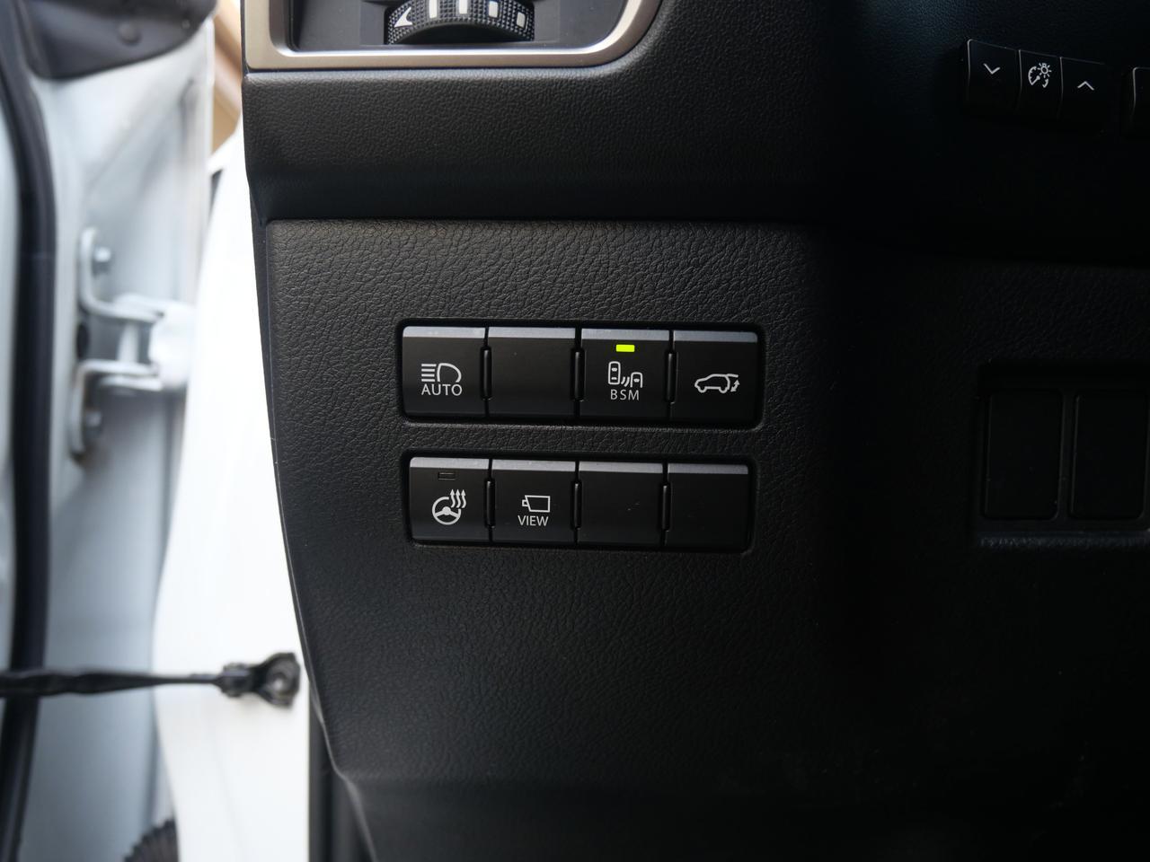 2021 Lexus NX 300 F SPORT San Juan TX