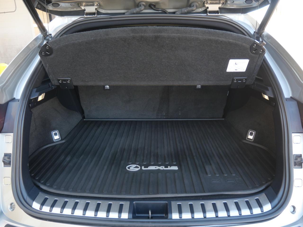 2021 Lexus NX 300 F SPORT San Juan TX