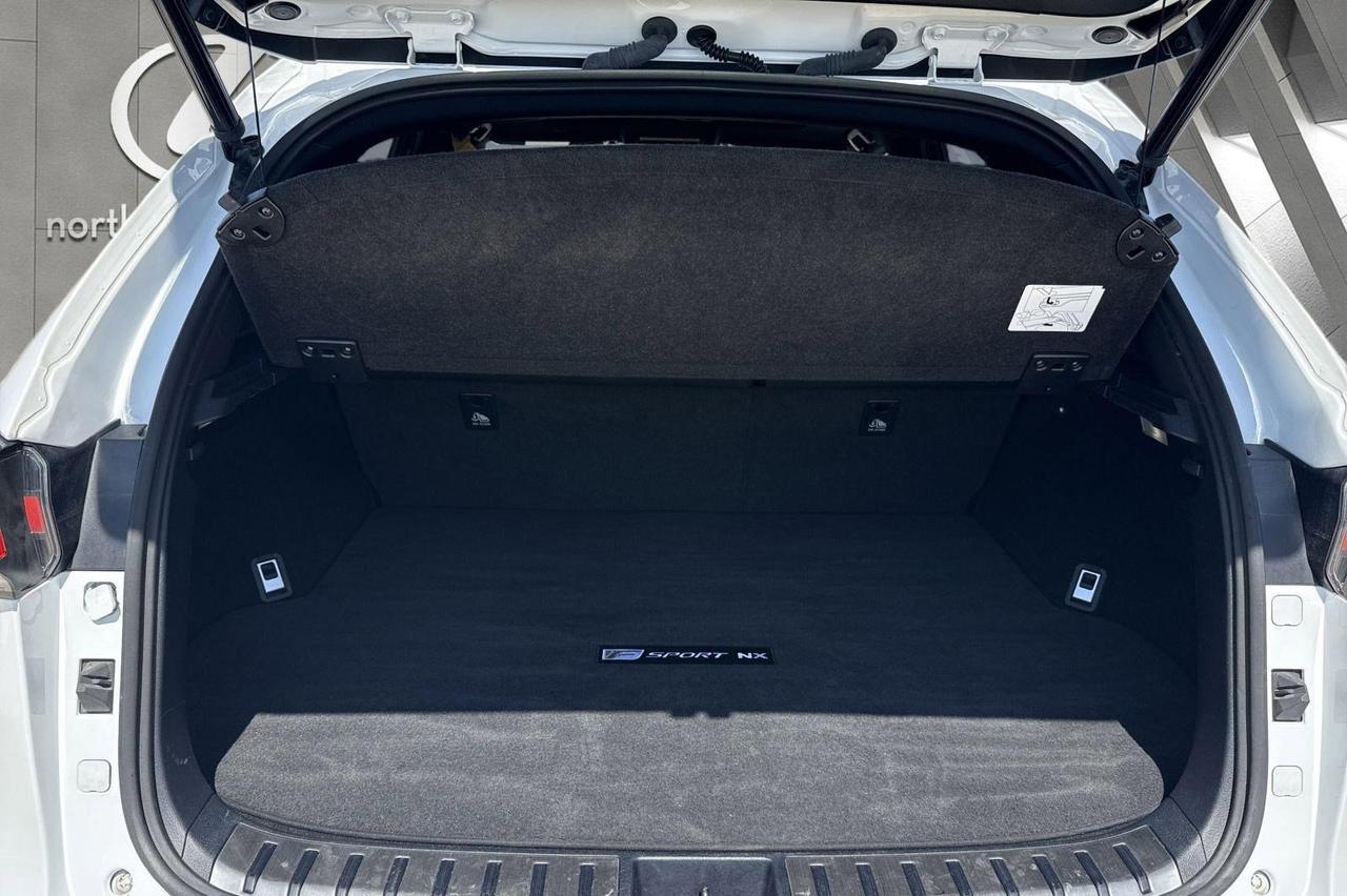 2021 Lexus NX 300 F SPORT San Antonio TX